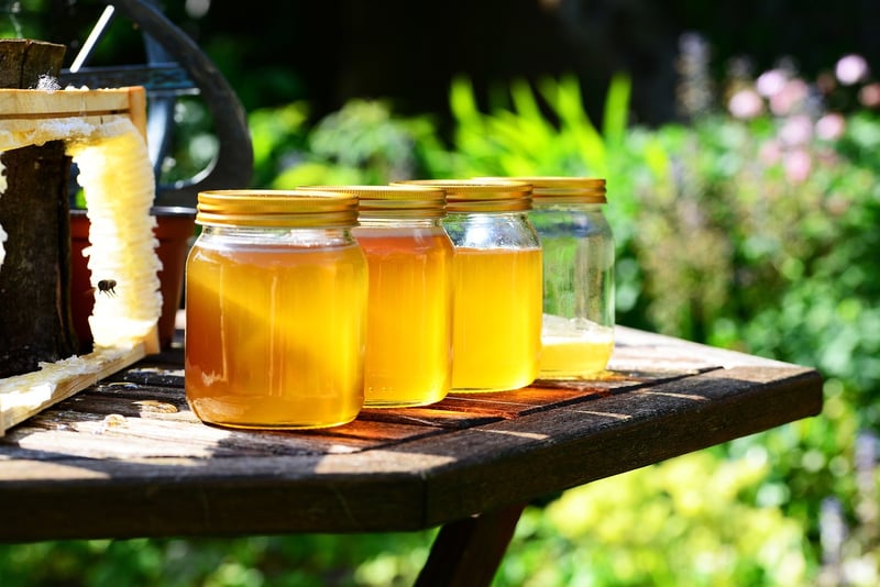 Urban Beekeeping